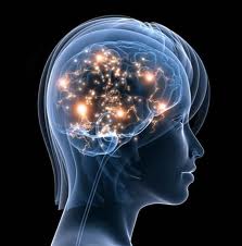 En este momento estás viendo ¿Cómo entrenar tu cerebro para mejorar su calidad de vida y evitar el Alzheimer?